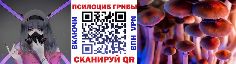 магазин кракен ТОР Галлюциногенные грибы MAGIC MUSHROOMS Кириллов